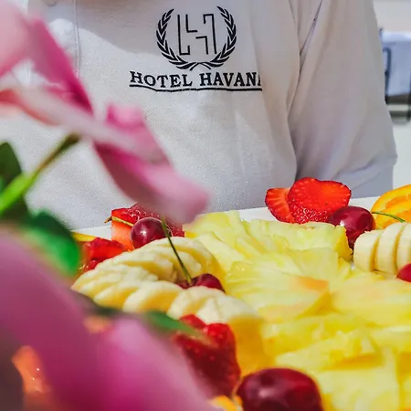 호텔 Havana 4*